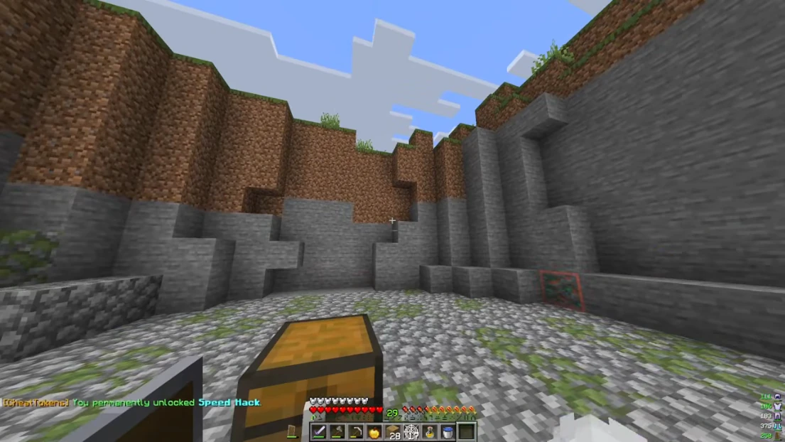 Minecraft X-Ray block outline on stone walls